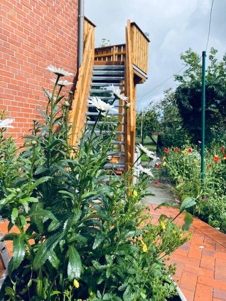 Ferienwohnung-Wildblume Petersdorf auf Fehmarn Kültér fotó